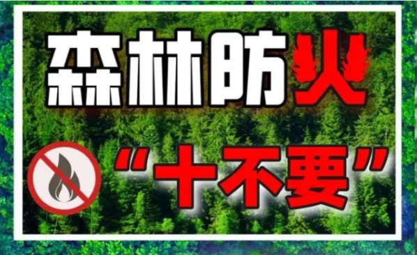 森林防火要注意 这些知识请牢记