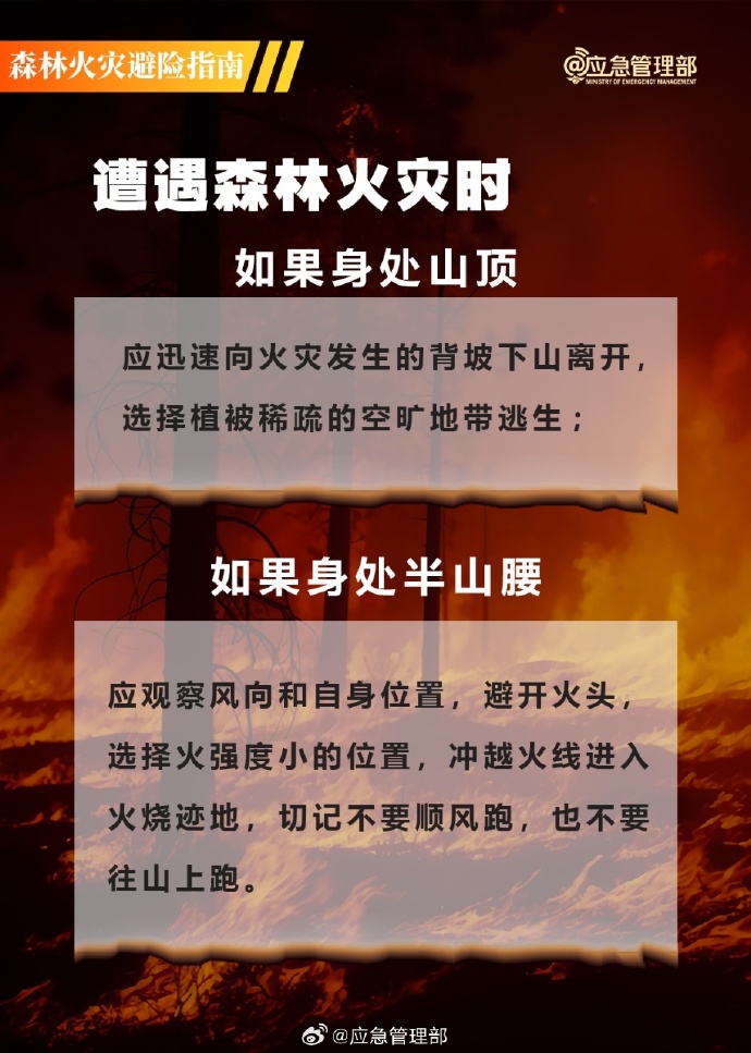 c7dd4479-a0c2-4e94-92b3-f8acfe283f49.jpg