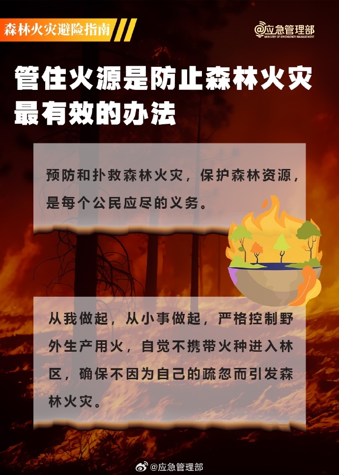 b82cdb10-af34-4e32-b94d-adce48eec108.jpg