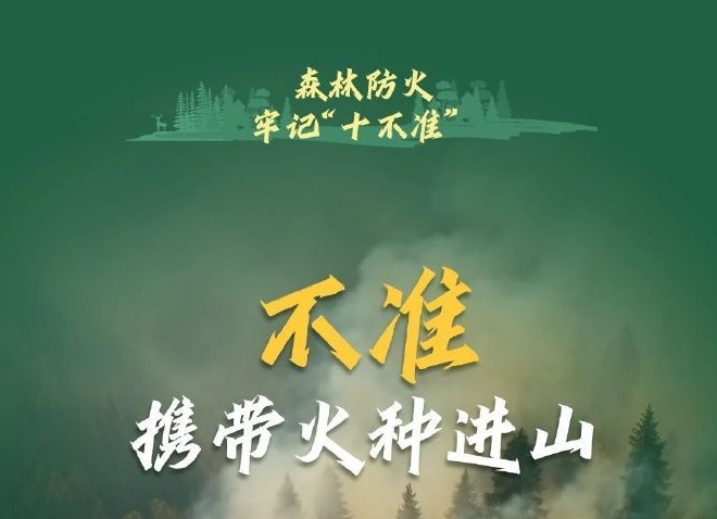 森林防火“十不准”请谨记，关系到我们安全